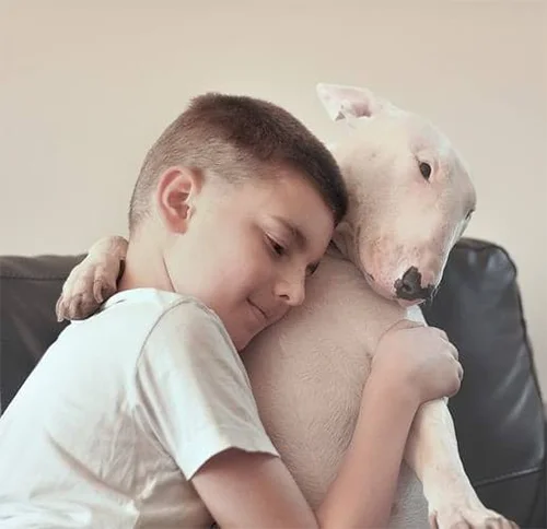 Bull Terrier-Com Crianças