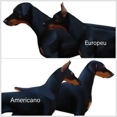 Doberman-Tipos