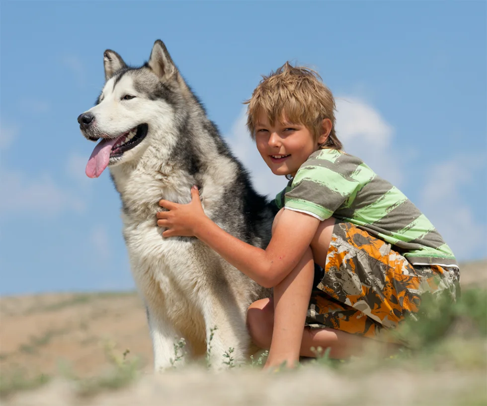 Husky Siberiano com Crianças